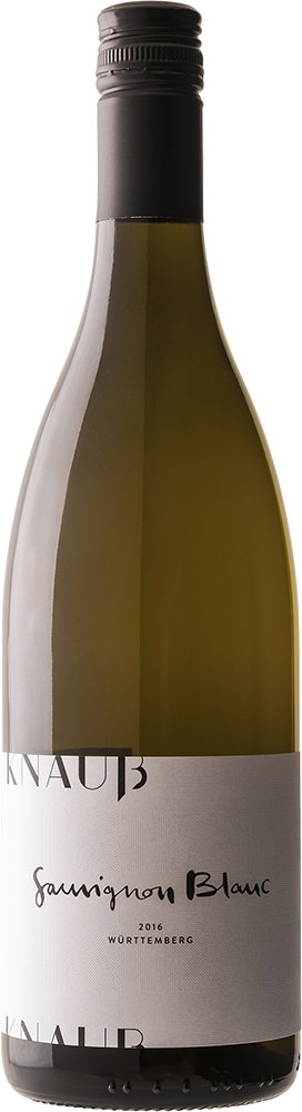 2023 Sauvignon blanc BIO