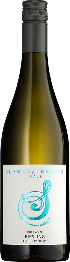 2025 Riesling Mußbacher BIO