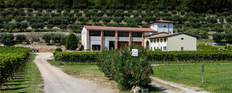 Lavagnoli