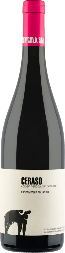 2023 San Salvatore Ceraso Aglianico