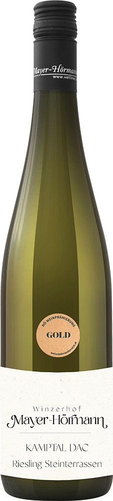 2025 Riesling Kamptal DAC Steinterrassen