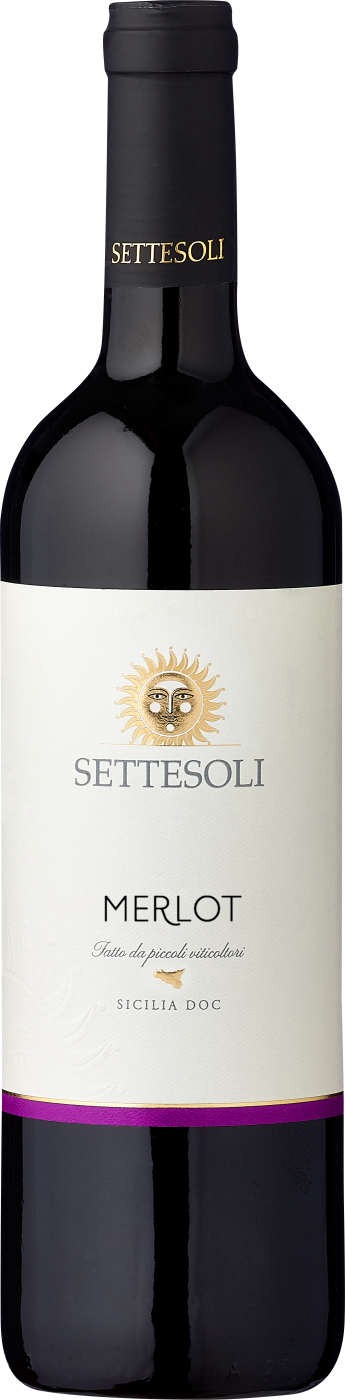 2023 Settesoli Merlot Sicilia DOC reflection