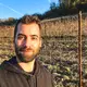 Vino Riflesso