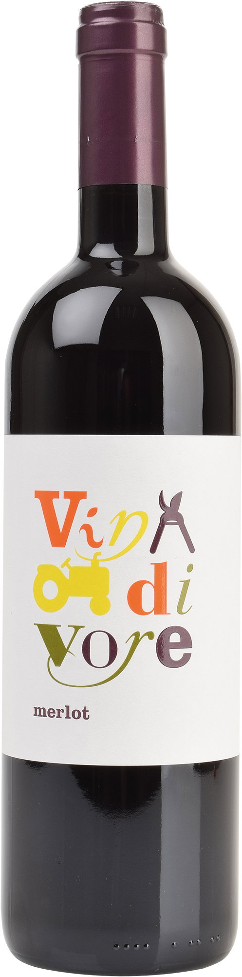 2022 Merlot Venezia Giulia IGP