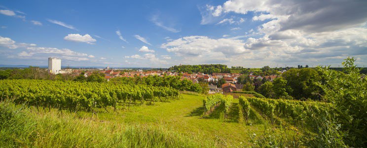Steinmühle
