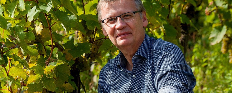 Weingut von Othegraven