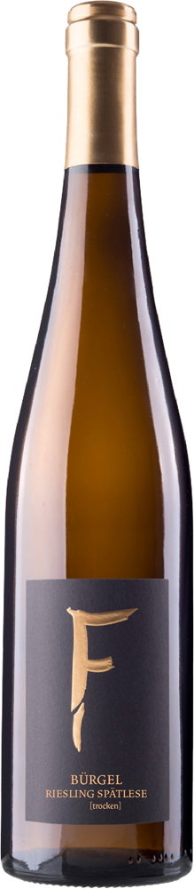 2023 DALSHEIMER BÜRGEL Riesling LAGENWEIN BIO