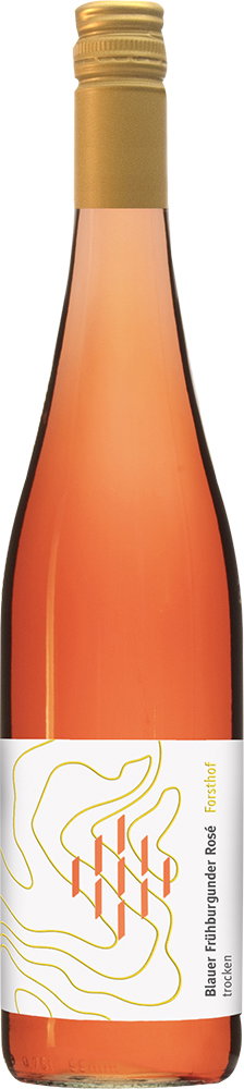 2025 Blauer Frühburgunder Rosé BIO