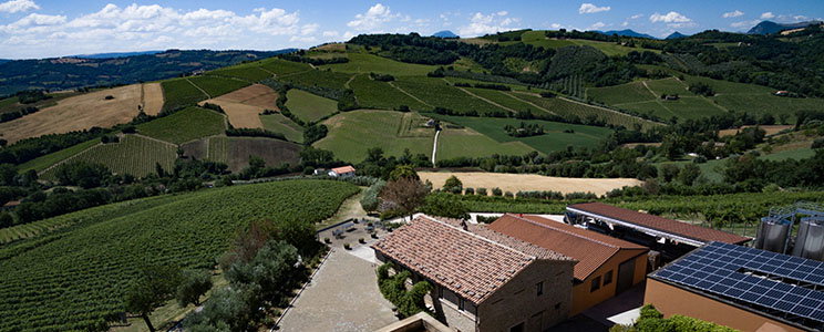 Sartarelli