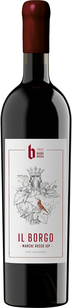2023 Il Borgo Marche Rosso IGP BIO