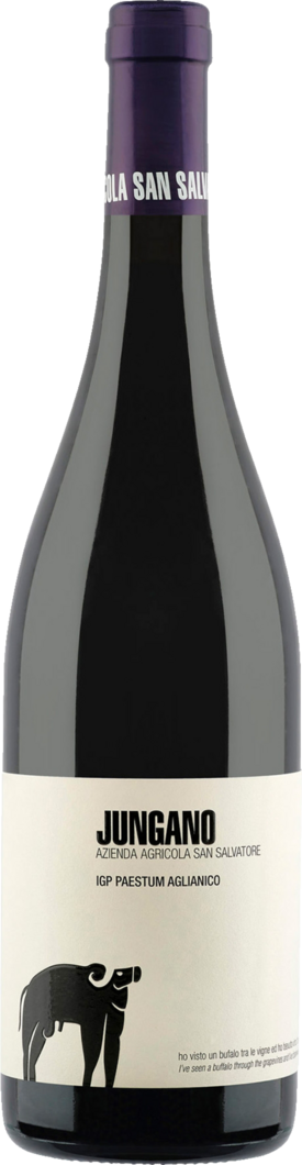 2021 Jungano Aglianico