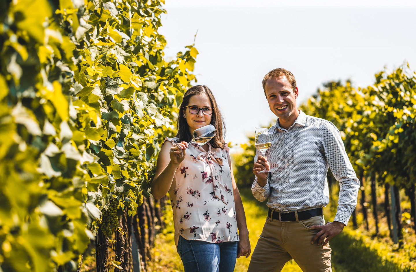 Weinbau Viti
