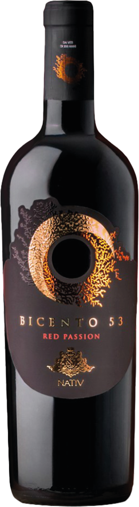 2019 Bicento 53 Irpinia DOC reflection
