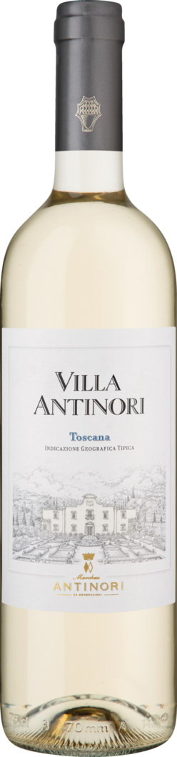 2025 Villa Antinori Bianco