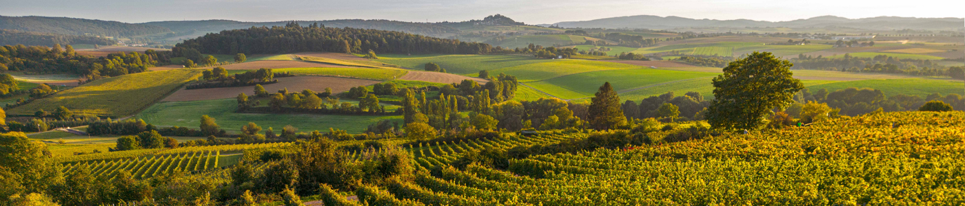 Vinum Autmundis - Odenwälder Winzergenossenschaft