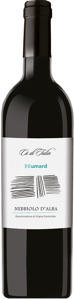 2020 Nebbiolo d’Alba DOC