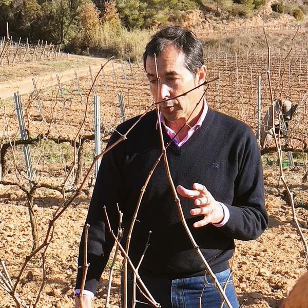 Joan Segura Pujadas