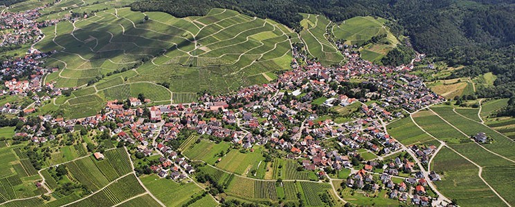 Baden-Badener Weinhaus am Mauerberg