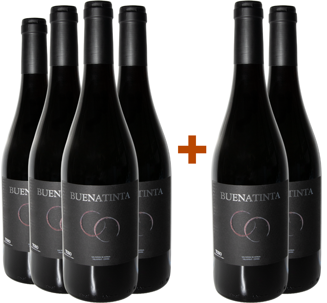 Pack descuento 4+2 Buenatinta Toro DO