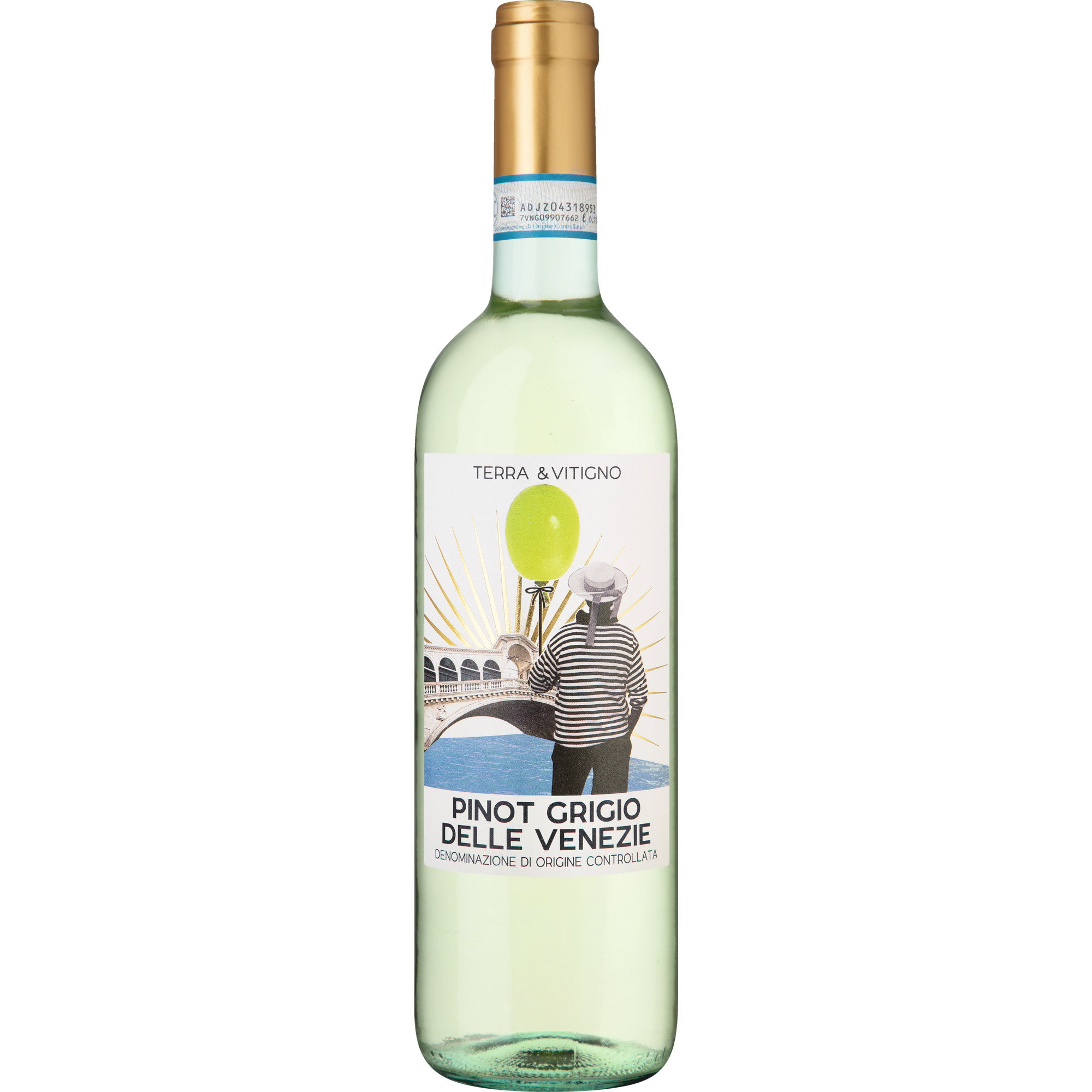 2023 Terra & Vitigno Pinot Grigio DOC reflection