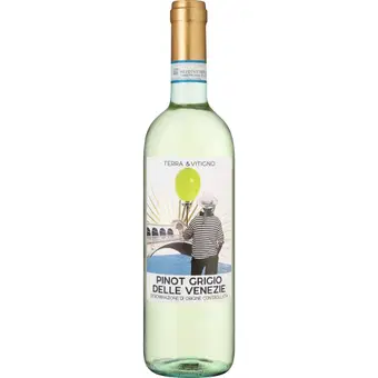 2023 Terra & Vitigno Pinot Grigio DOC
