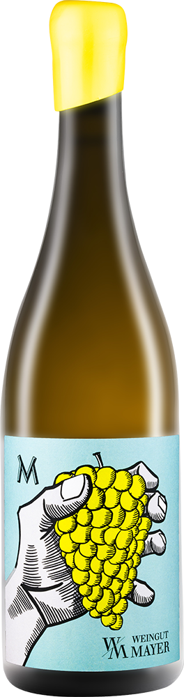 2024 Müller Thurgau M BIO