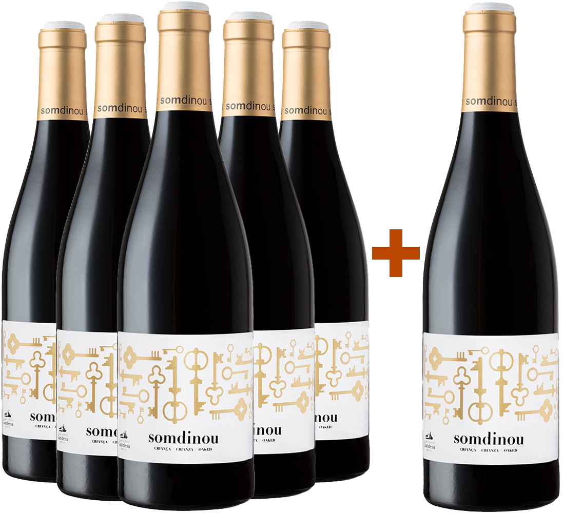 5+1 Somdinou Tinto Crianza Terra Alta DO BIO