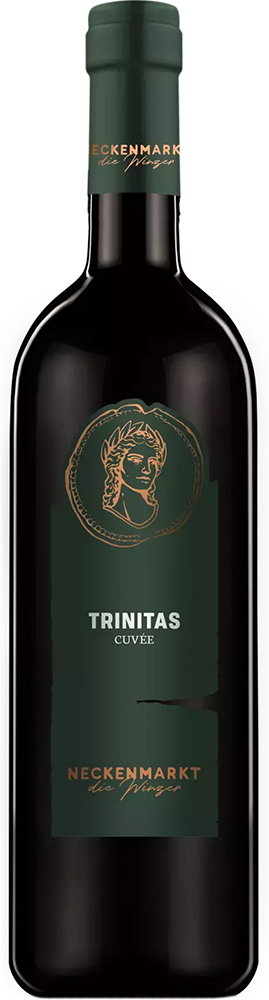 2019 Trinitas reflection
