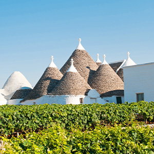 PietraPura