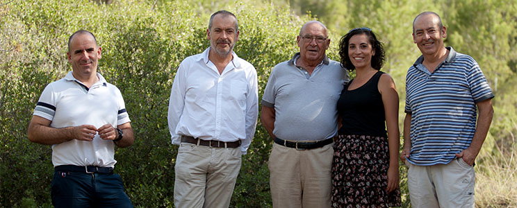 Castaño