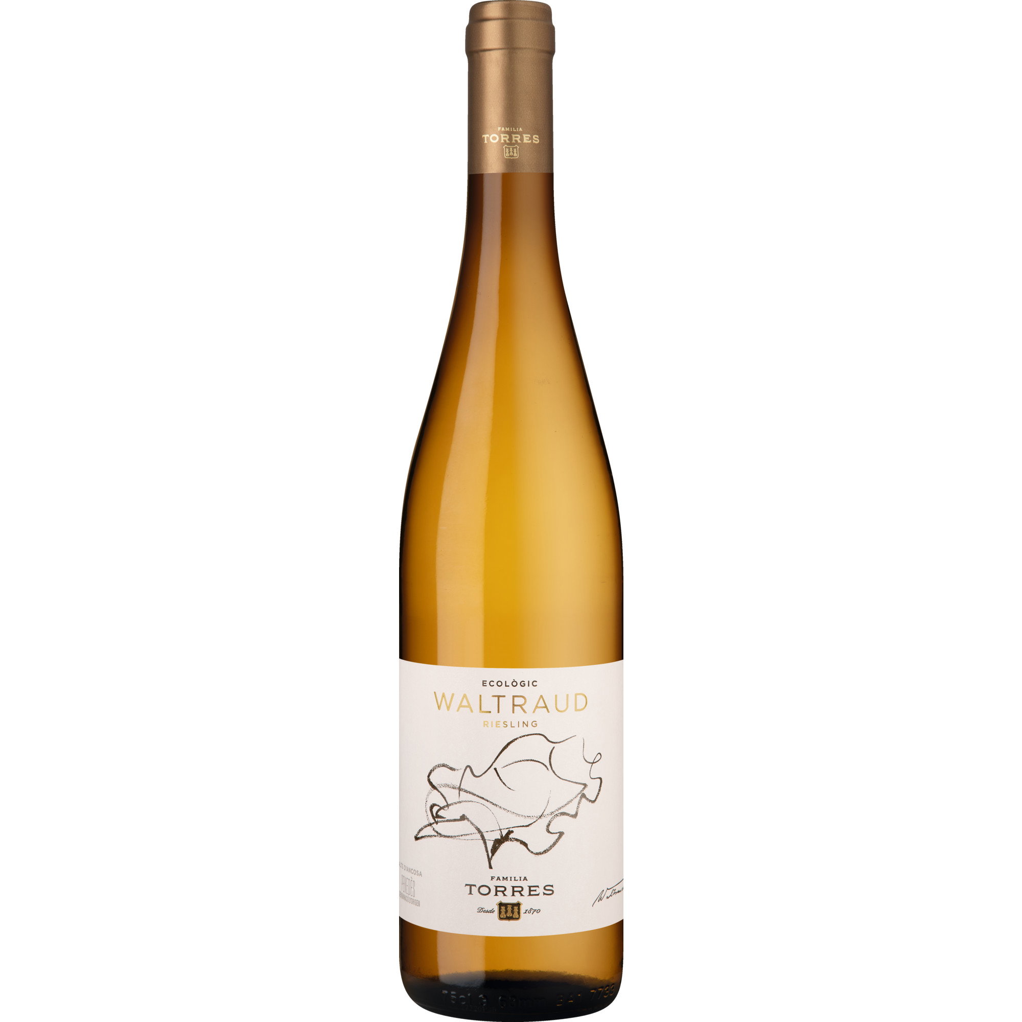 2024 Waltraud Riesling BIO reflection