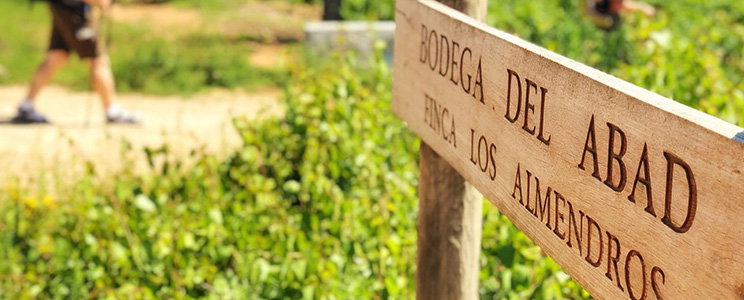 Bodega del Abad