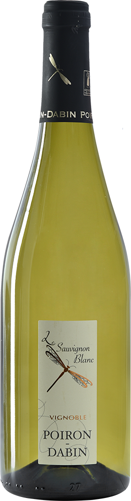 2024 Cuvée "Sauvignon Blanc" Val de Loire IGP