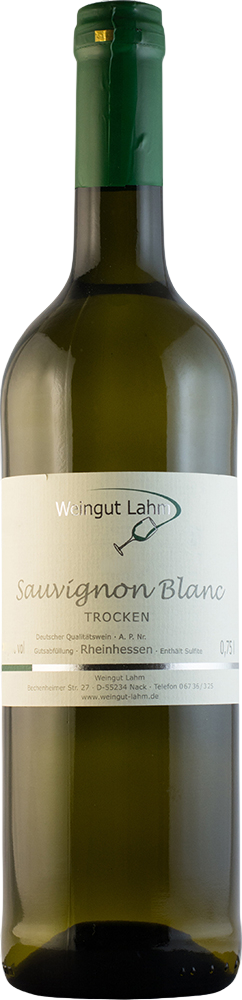 2024 Sauvignon Blanc Qualitätswein reflection