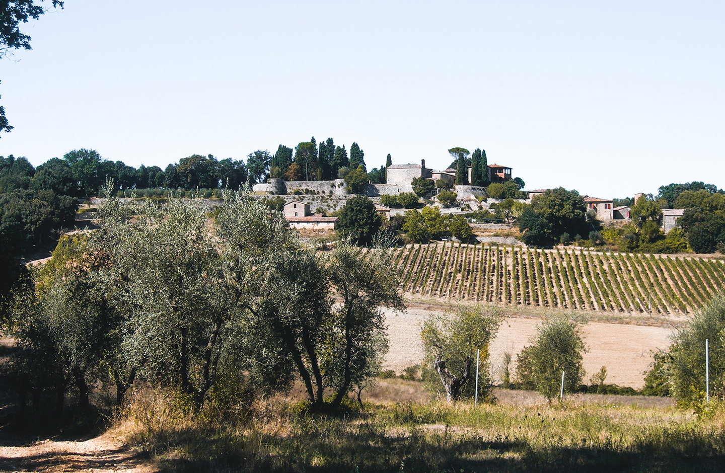 Campriano