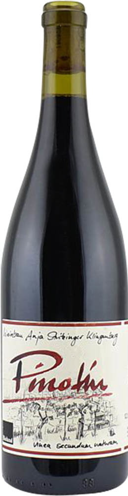 2023 Klingenberger Pinotin BIO