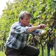 Weingut Jung Dahlen