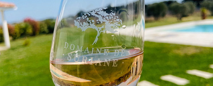 Domaine de Suriane