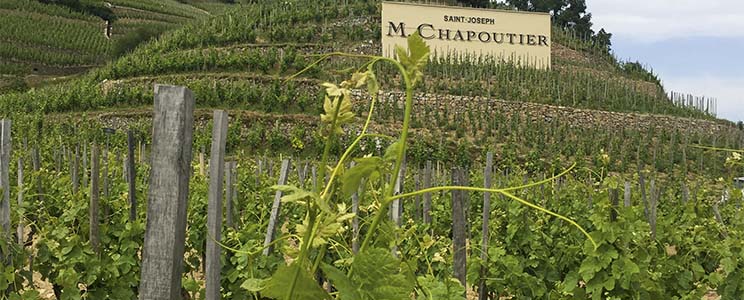 M. Chapoutier