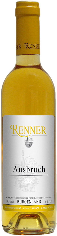 1999 Renner reflection