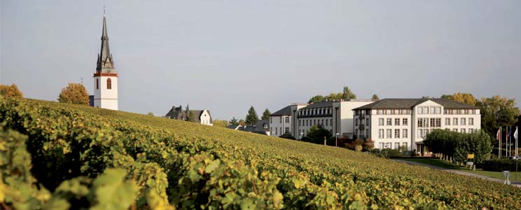 Schloss Reinhartshausen