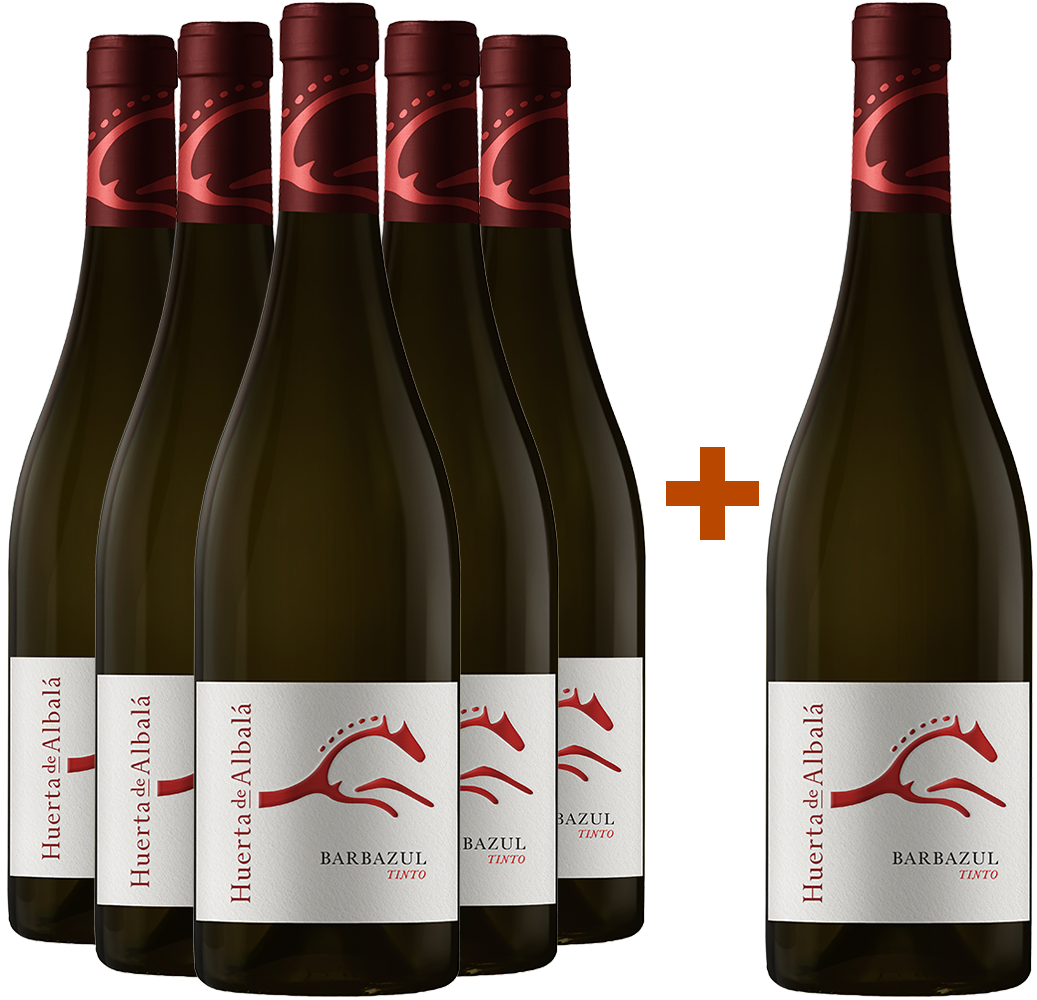 Barbazul Tinto 5+1 Aktionspaket Cádiz VT
