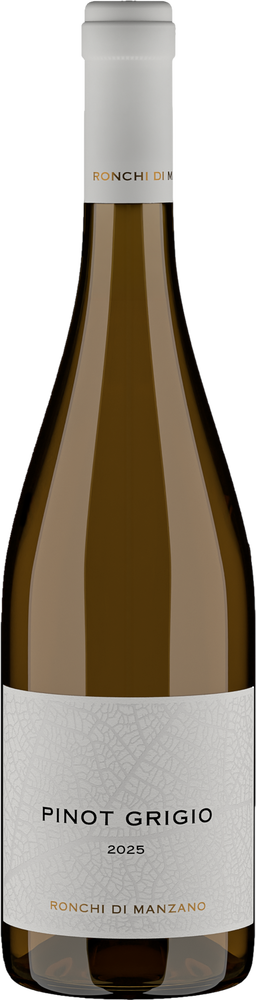 2025 Pinot Grigio reflection