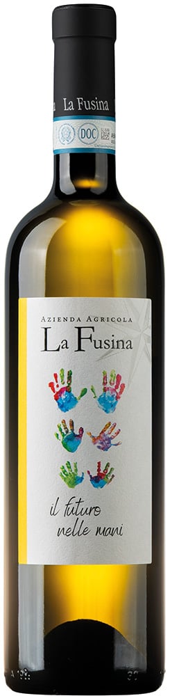 2024 Langhe Sauvignon DOC