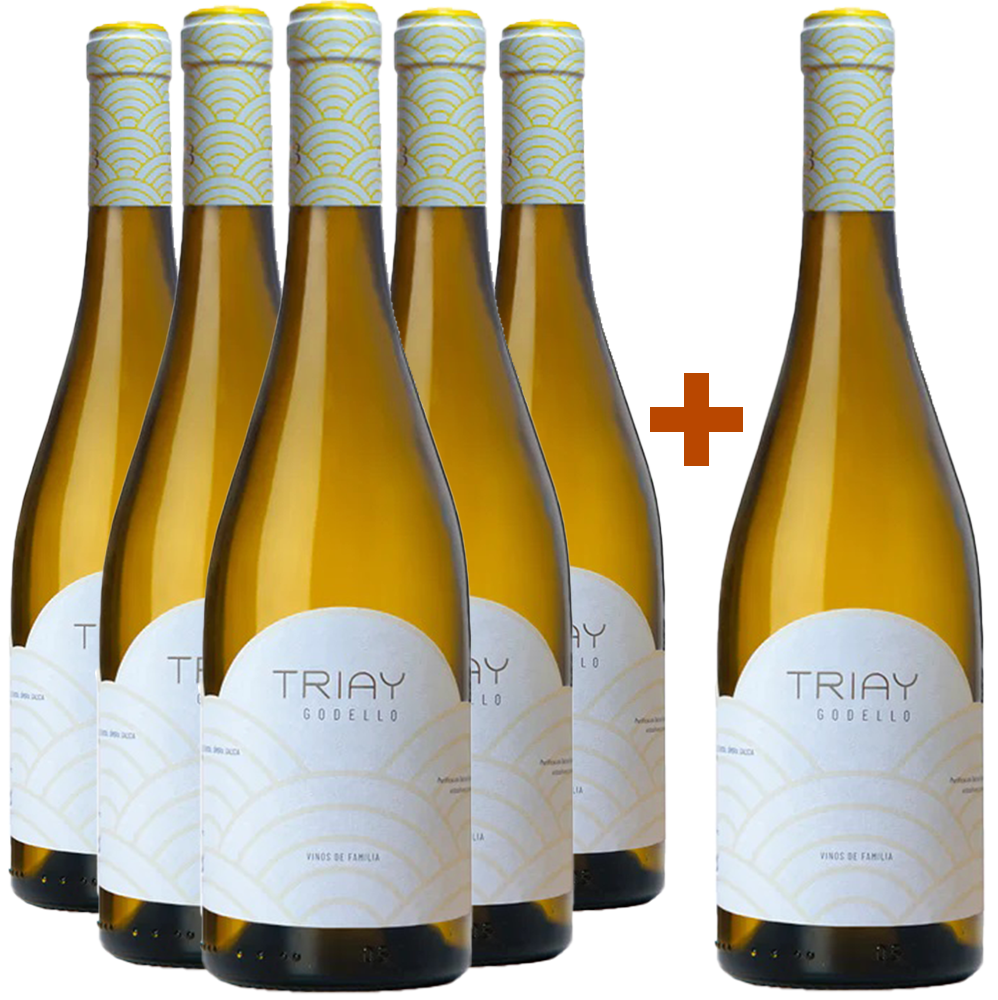 5+1 Aktionspaket Triay Godello Monterrei DO