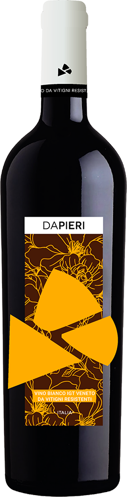 2024 Vino PIWI Soreli Veneto IGP