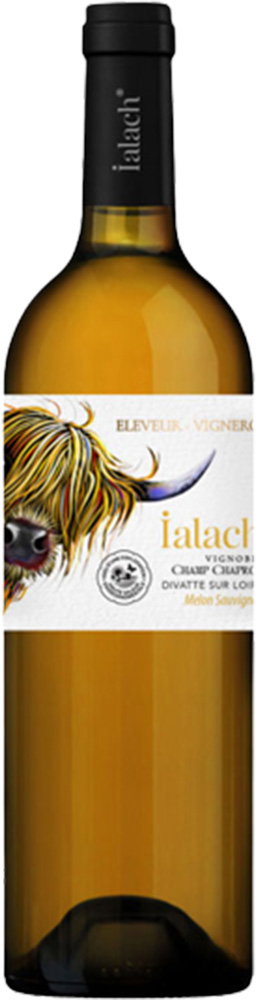 2022 IALACH Blanc