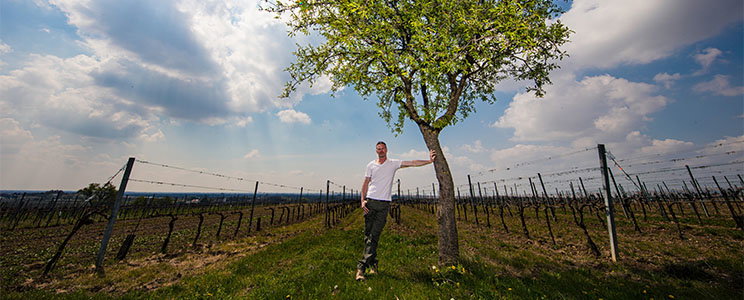 Preisinger Georg