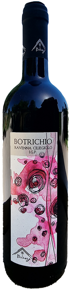 2023 Botrichio Ravenna IGP BIO reflection
