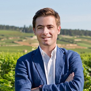Louis Jadot